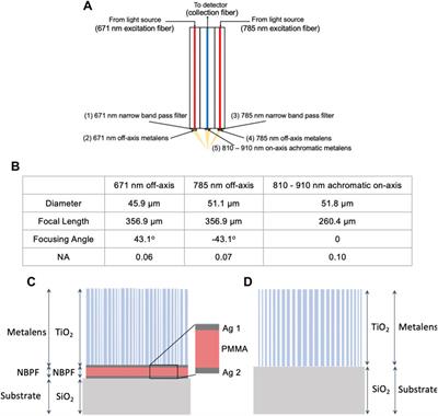 An all metasurface-based fiber needle probe for Raman spectroscopy